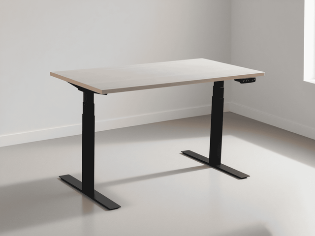 Electric Standing Desk