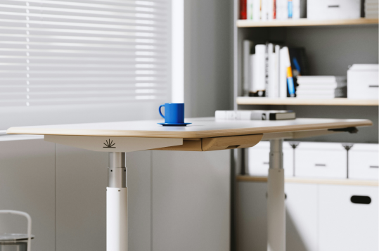 Top 10 Height Adjustable Desk Manufacturers in 2025
