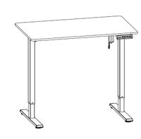 Electric Standing Desk