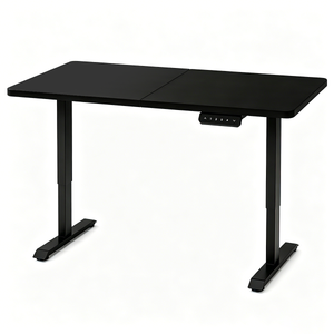 Electric Standing Desk