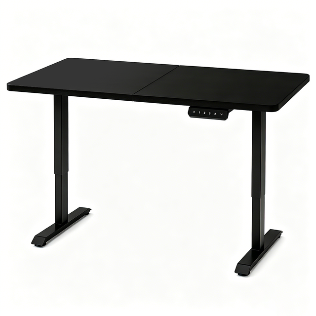  Electric Standing Desk