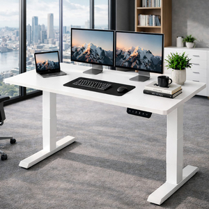 White Electric Standing Desk
