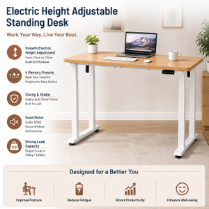 electric standing desk supplier