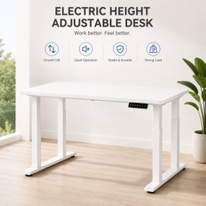 dual motor standing desk